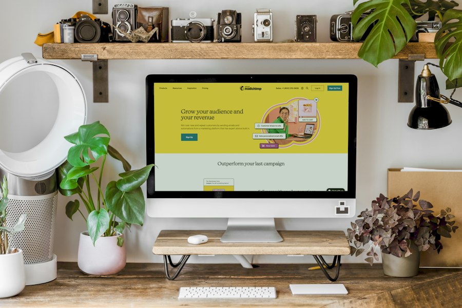 small business website design services